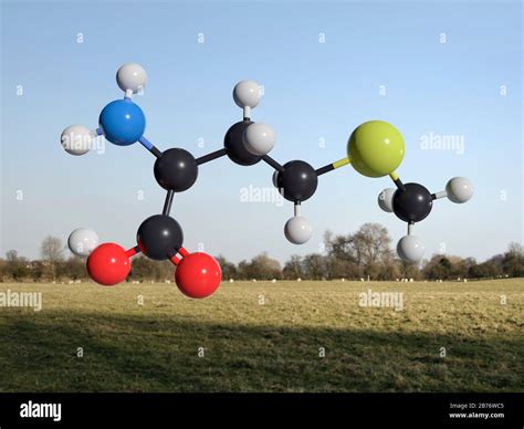  Méthionine: Un acide aminé essentiel pour la croissance et le développement animal !