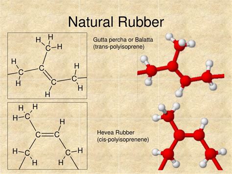  Gutta-Percha: Révélant les Secrets d'un Élastomère Naturel Exceptionnel !