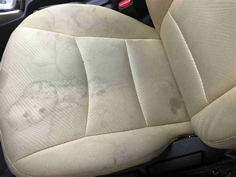 How to Get Water Stains Out of Car Upholstery and Why Pineapples Might Be the Secret Ingredient