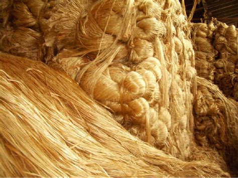  Jute: Une Fibre Naturelle Durables pour des Applications Industrielles Innovatrices !